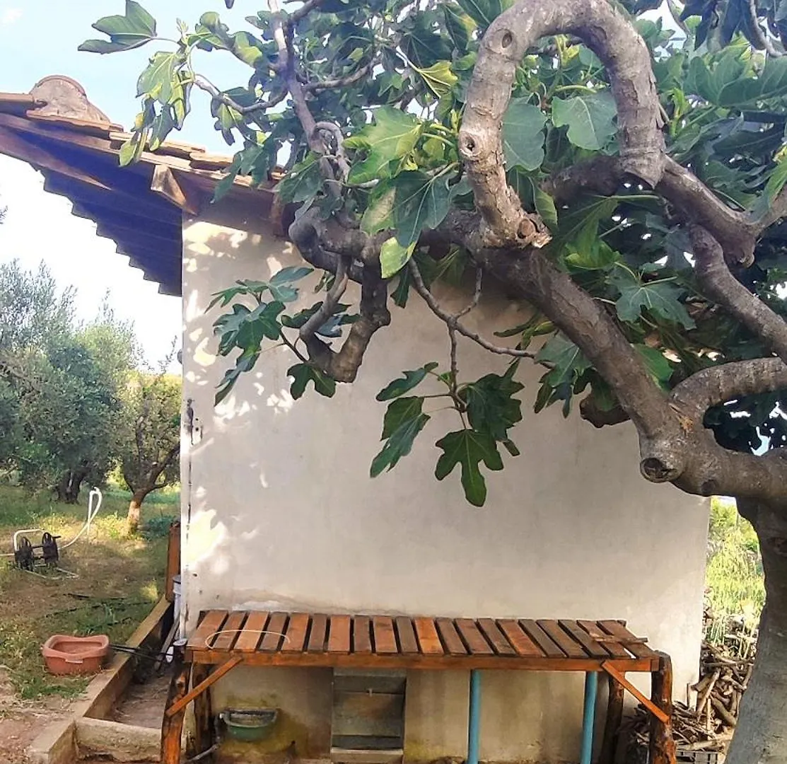 Holiday home 3 Olive Trees -Retreat House Villa Ormilia Greece