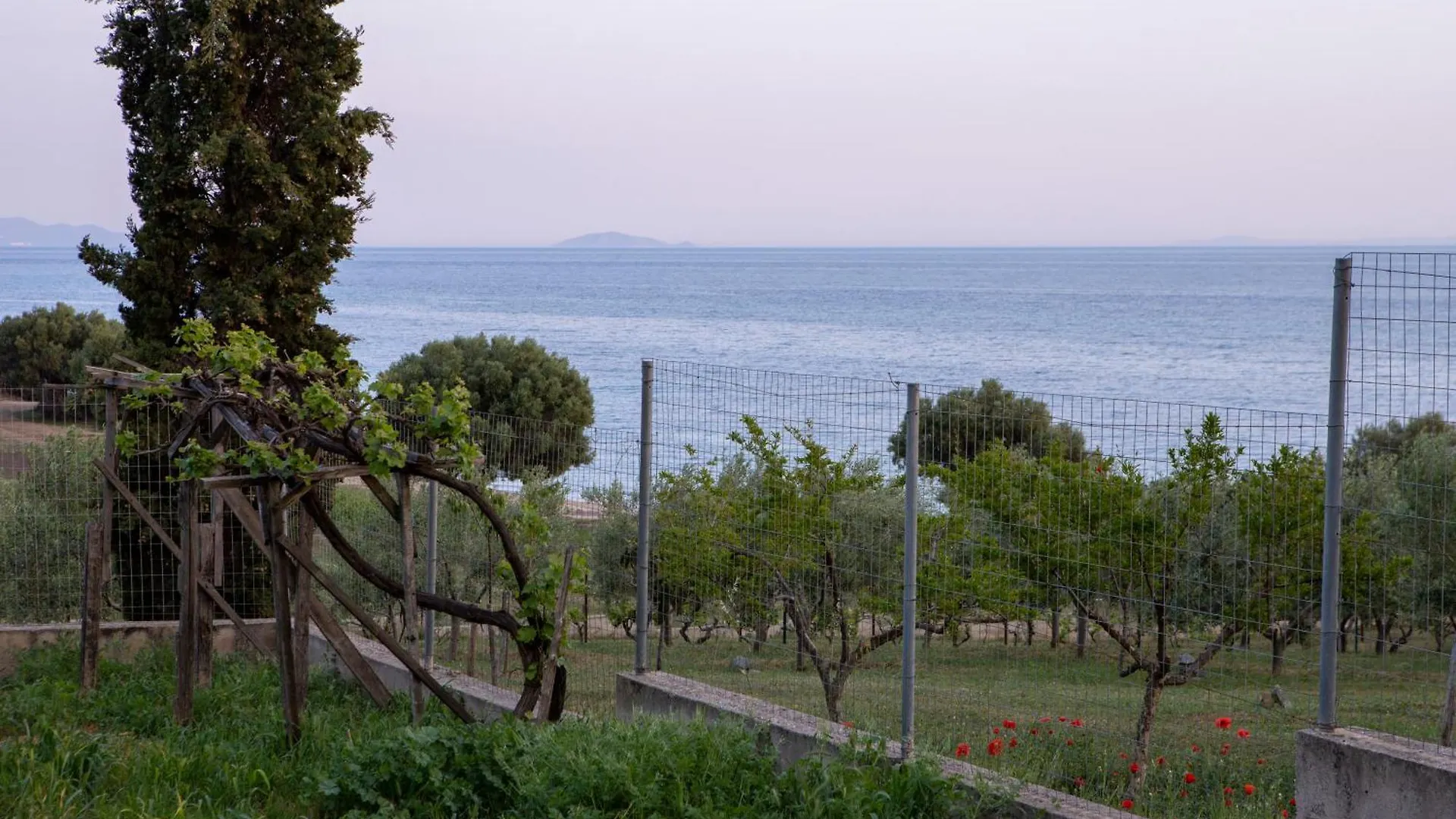 3 Olive Trees -Retreat House Villa Ormilia