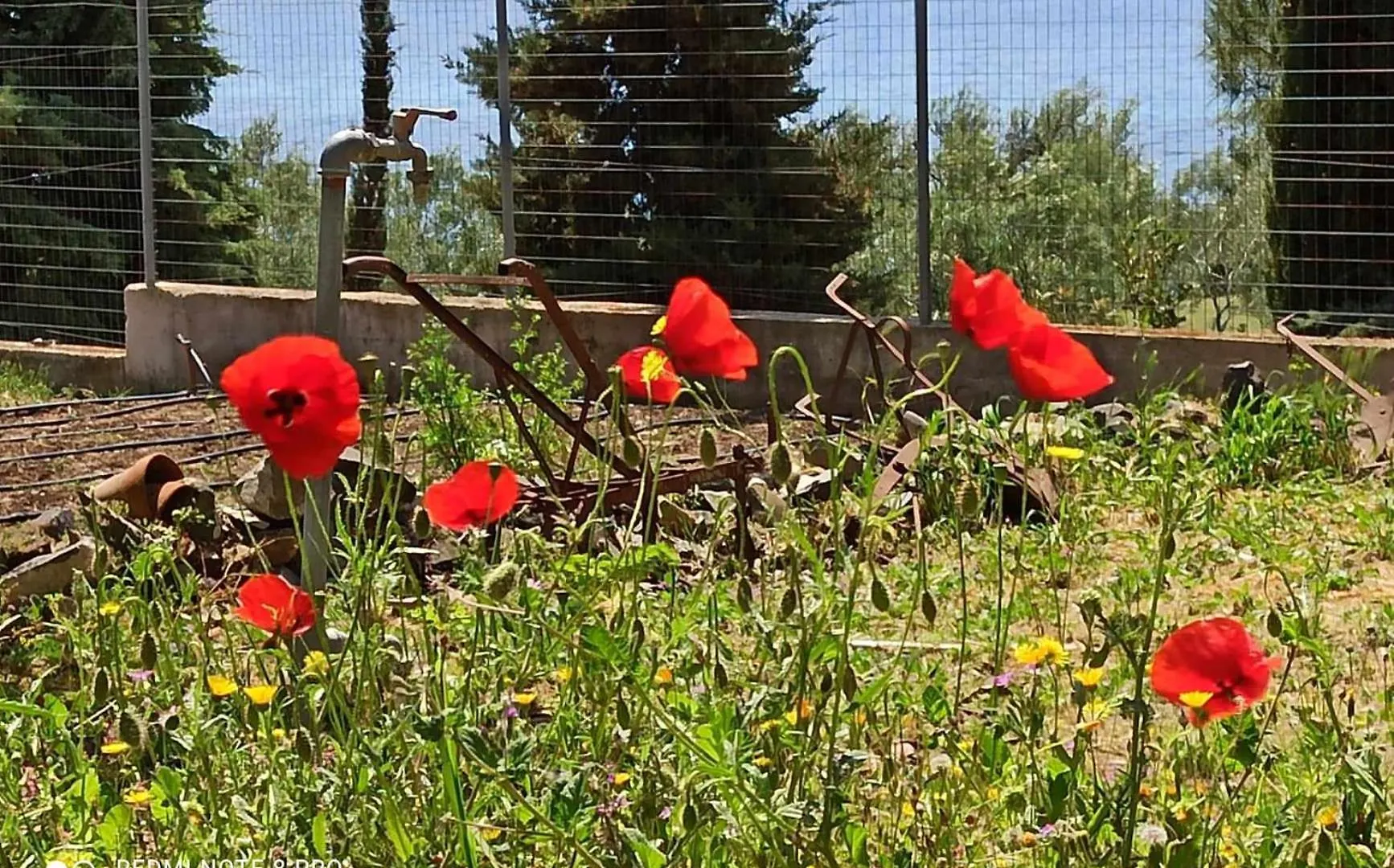Holiday home 3 Olive Trees -Retreat House Villa Ormilia Greece