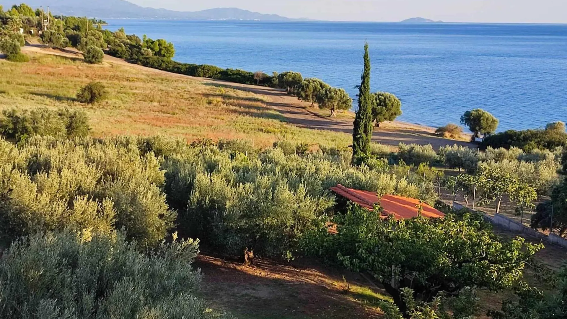 Holiday home 3 Olive Trees -Retreat House Villa Ormilia