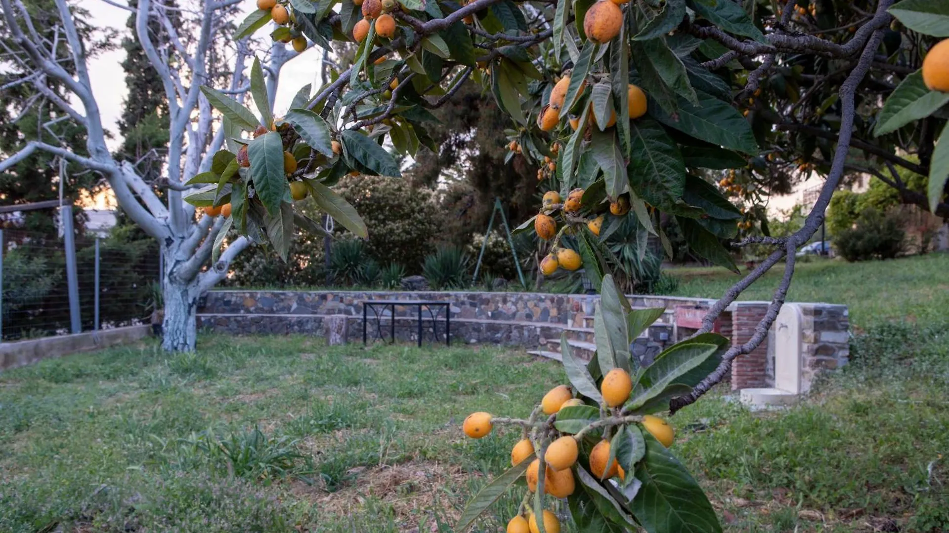 3 Olive Trees -Retreat House Villa Ormilia Holiday home