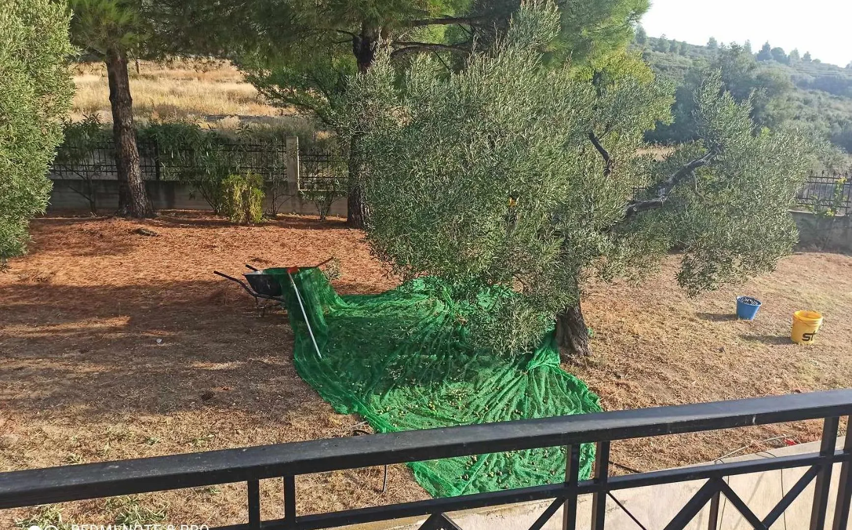 3 Olive Trees -Retreat House Villa Ormilia 0*,  Greece